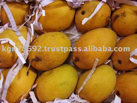 Alphonso Mango Fruit
