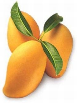 fruits