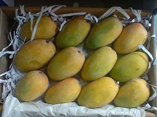 Kesar  Mango 