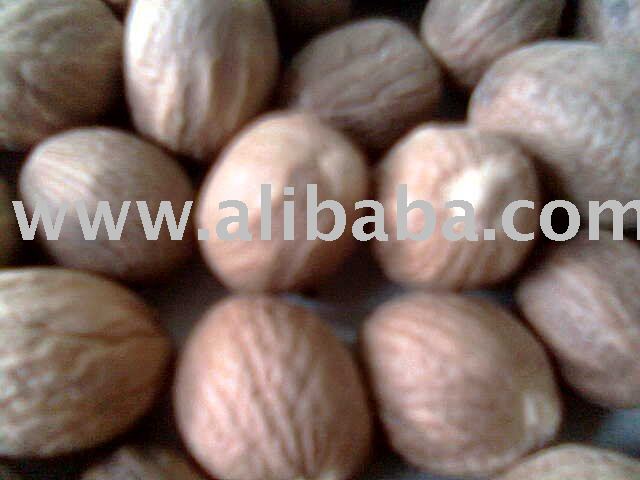 NUTMEG IN SHELL & WITHOUT SHELL