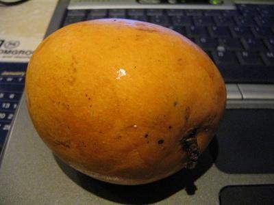  Langra   Mango es