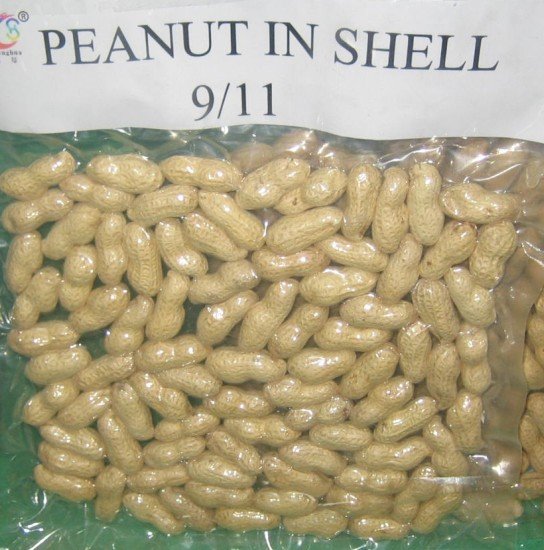  Groundnut  With  Shell 
