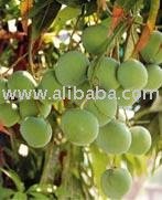 Apple Mango