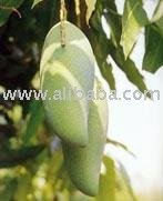 Fah Lan Mango