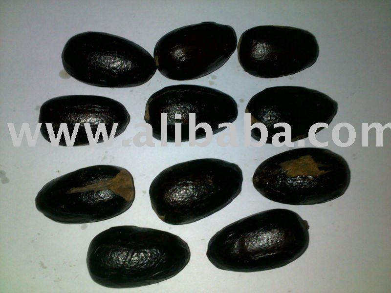 ABCD Nutmeg From  Indonesia  With Shell