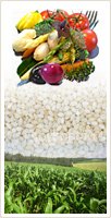 Food And Beverages