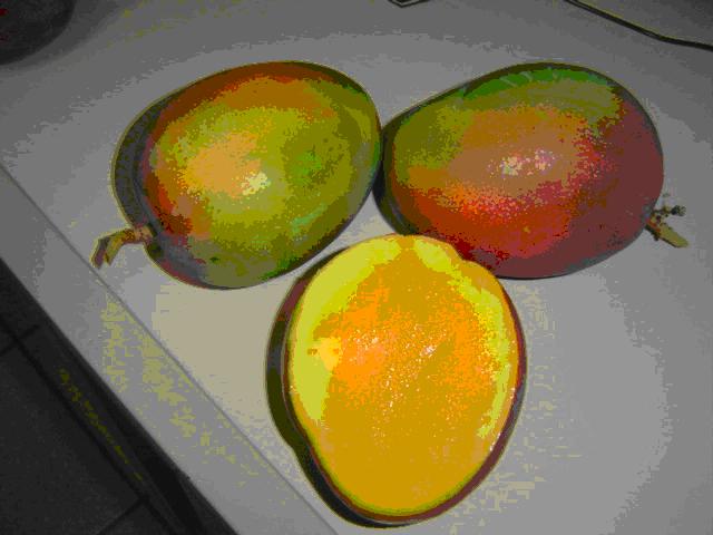 Mangoes-Keitt