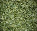 PUMPKIN KERNELS
