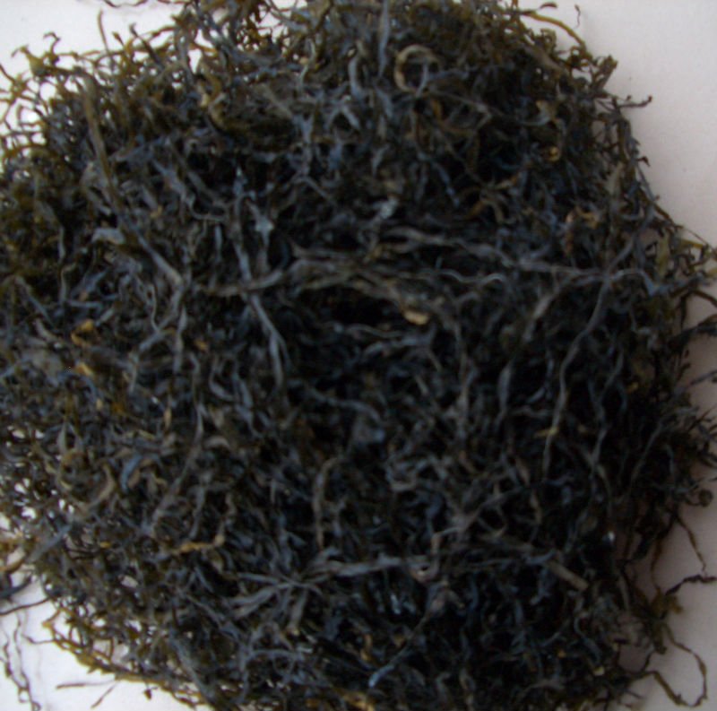 10KG for salad machine dried sea kale