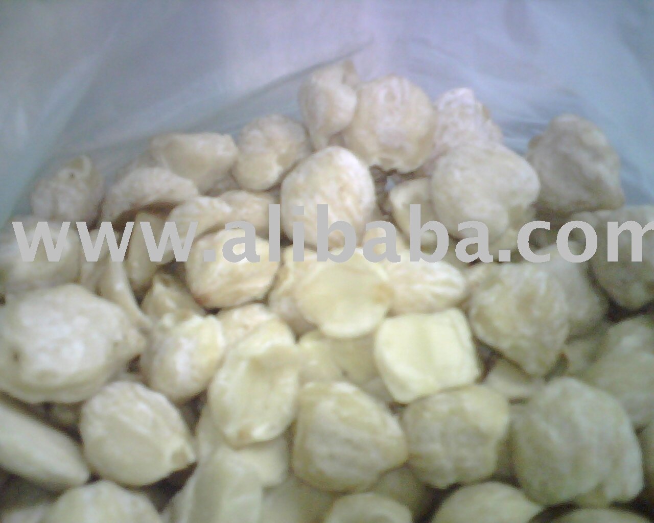 Kukui Nuts