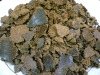 palm nuts and meal grinded