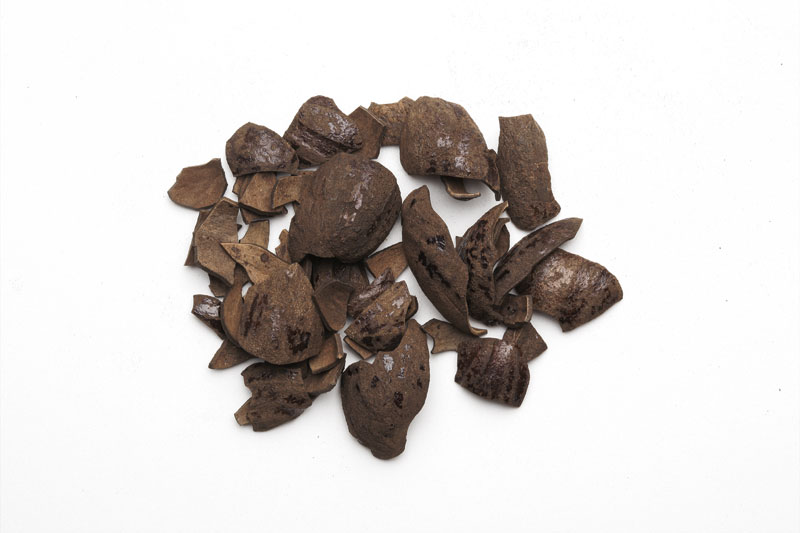  Steam  Sterilized + Organic Nutmeg Shell TBC and Powder