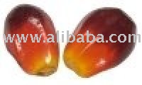  Palm   Nut s/Kernel