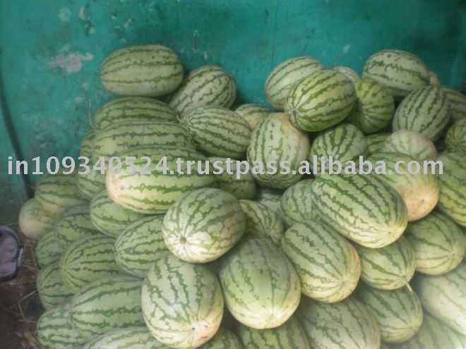 fresh watermelon