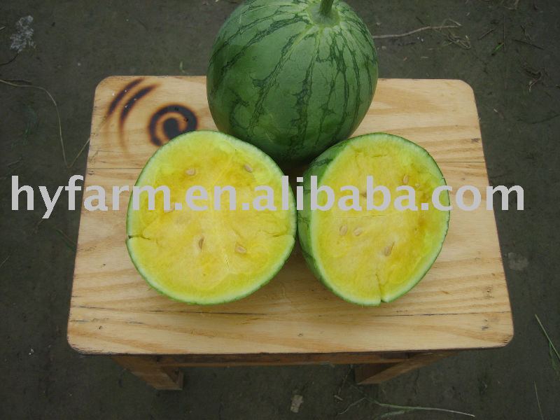 yellow watermelon