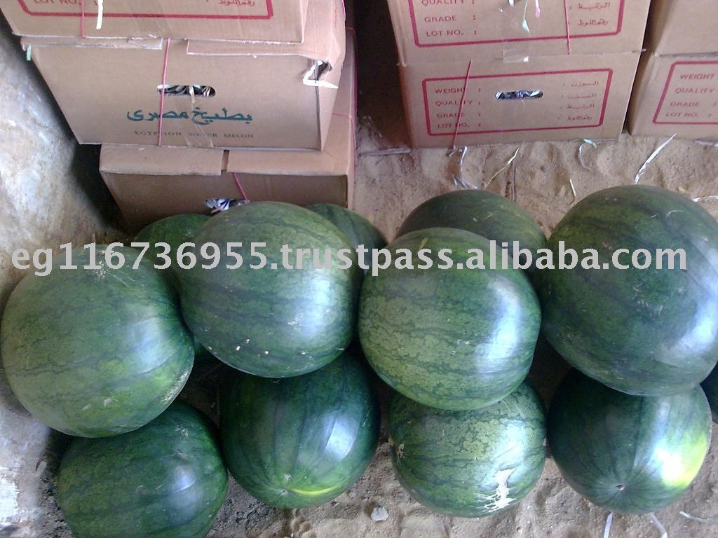 fresh water  melon