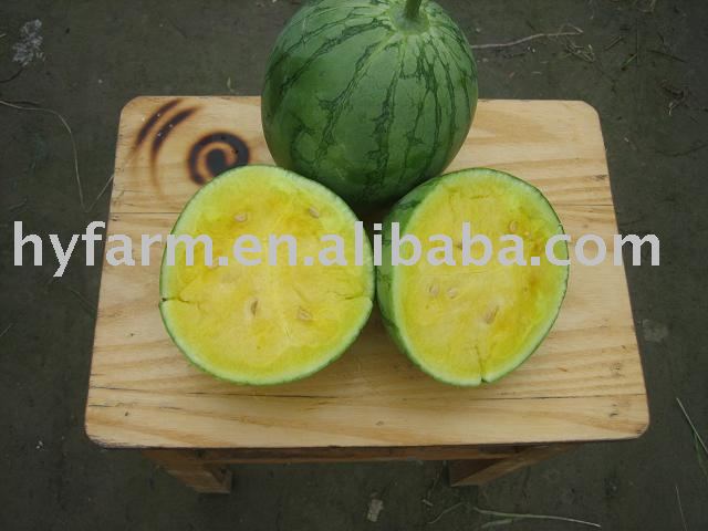 Yellow water melon , water melon ,  fruit s,  melon 