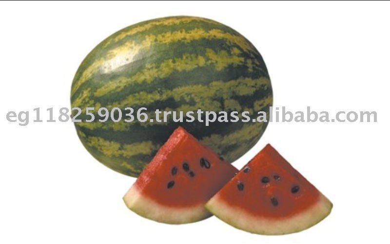 ARKANZA Egyptian Fresh Watermelon Farms