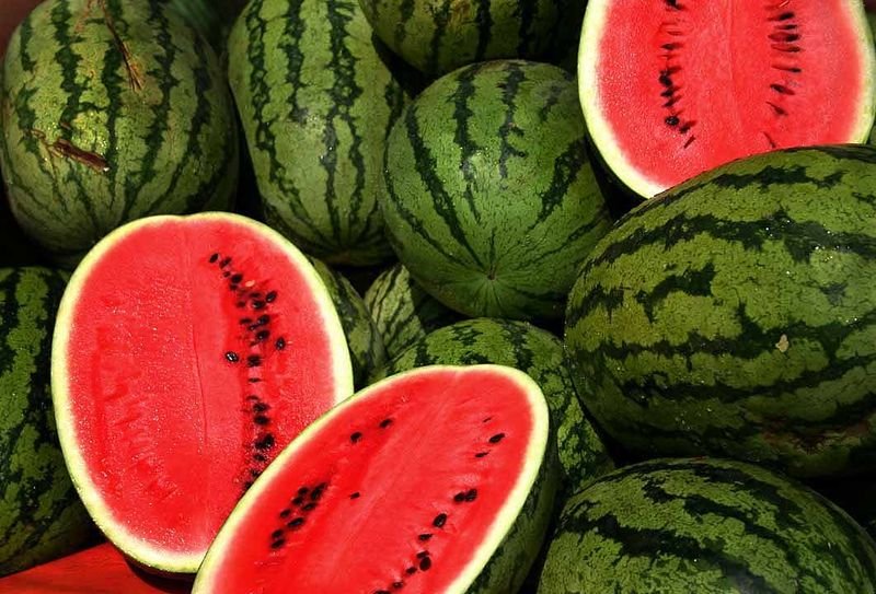 Fresh Watermelon fruits for sale