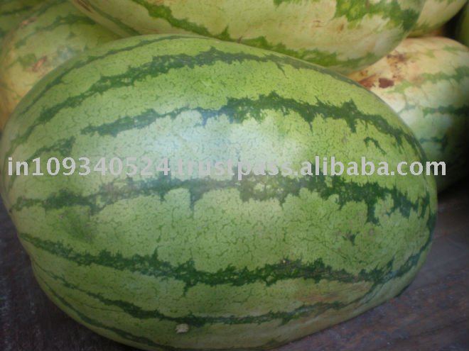 Water Melon