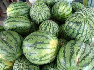 melon