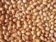 PEANUTS