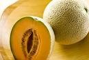 fresh melon