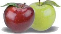  Apple   Pulp  Concentrates