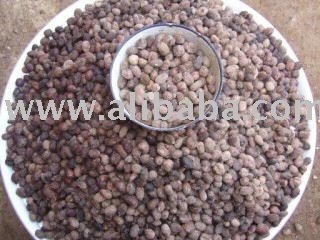 Shea Nuts / Karite Nuts