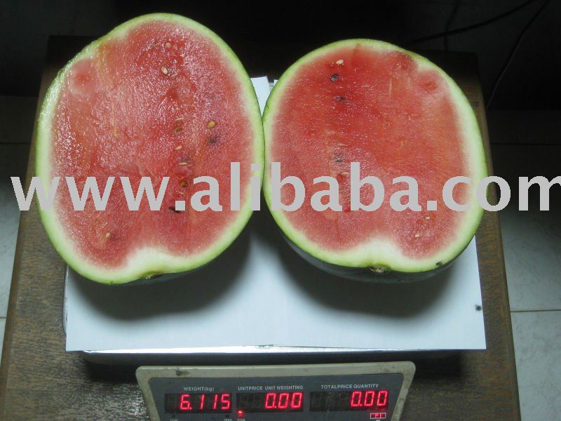 Egyptian fresh water melon