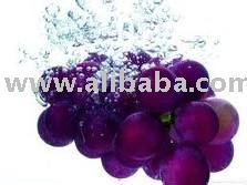 RED-WHITE GRAPE  Concentrated Juice