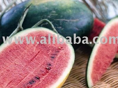 Watermelon (Citrullus lanatus)