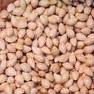 ginkpo nuts