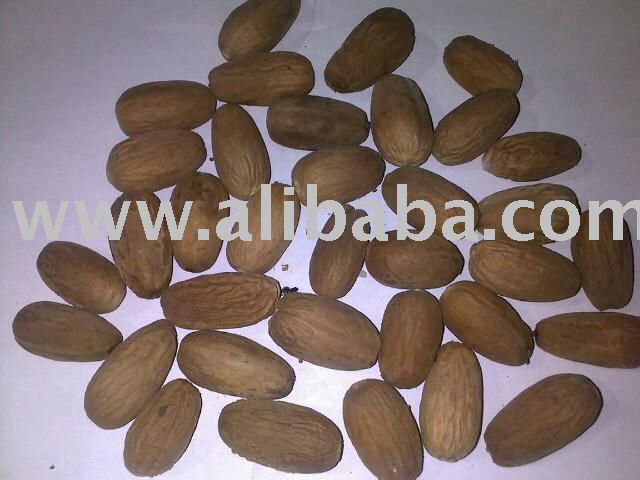 ABCD Nutmeg Without Shell From Papua