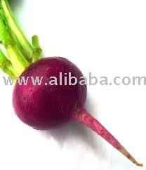 RED Beet Concentrated Juice