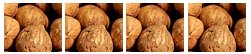 Hazel nut without shell of size ranges