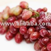 High quality of  Red grape juice concentrate