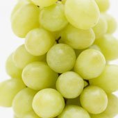 High quality of  white grape juice concentrate