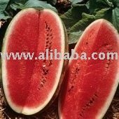 Water Melon