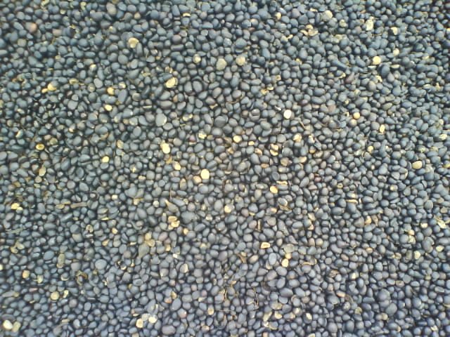 Palm Kernel Nut