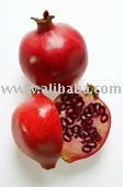 Selling Pomegranate Concentrate ( New Crop)