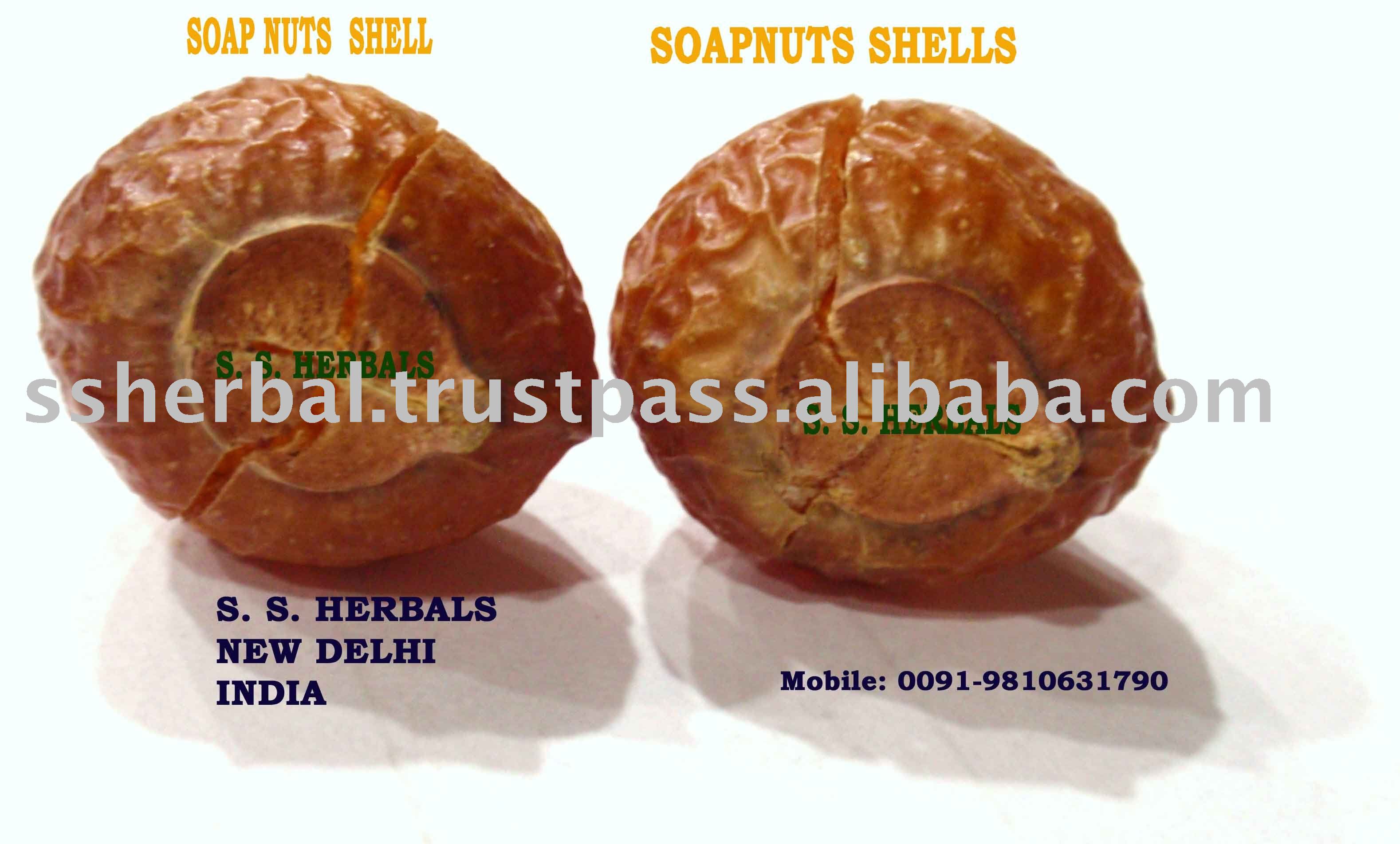 soap nuts