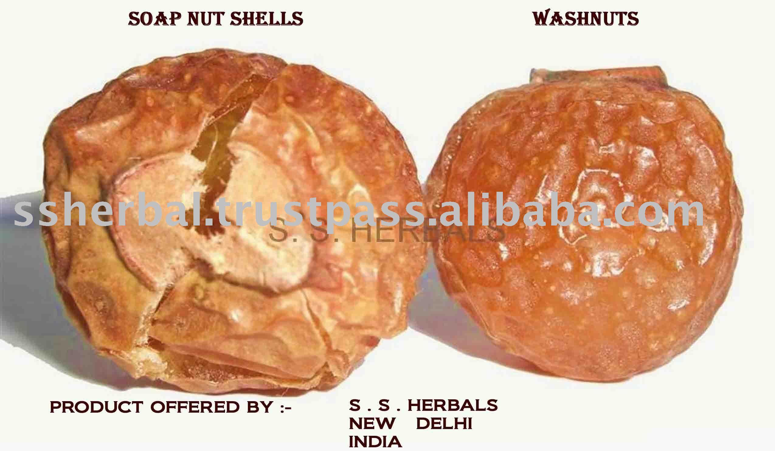 Noix de lavage , waschnusse , soapnuts ,  sapindus  mukorossi