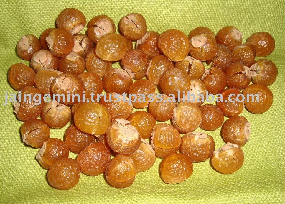 soapnuts