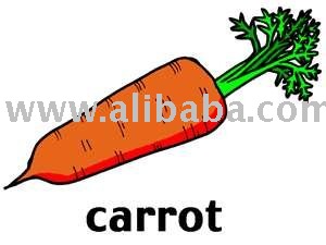 CARROT   Concentrate d  Juice ,Puree