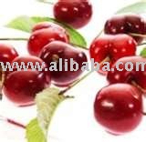 Sur Cherry Juice Concentrate