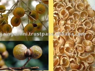 Best Quality Soap Nuts  Sapindus  Mukorossi From India
