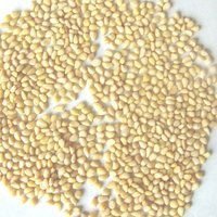 Pine nuts