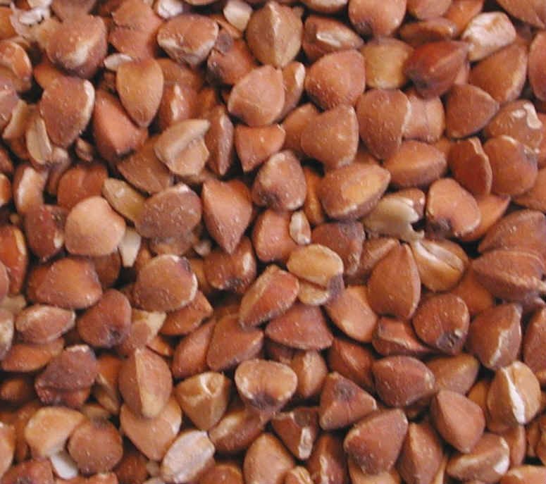  Fresh  and Roasted  Buckwheat  Kernel
