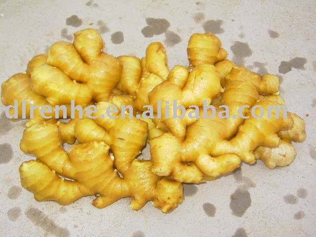 fresh ginger